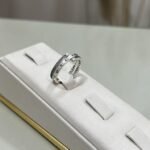 Anel Pandora Maleável